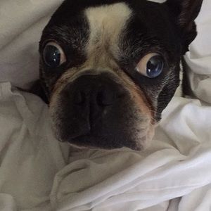 Meet your Posher, Lisa